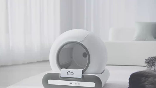 Automatic Self Cleaning Litter Box